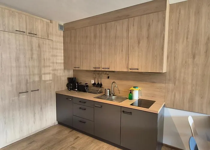 Appartement Z Widokiem Na Sniezke *