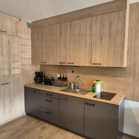 Apartment Z Widokiem Na Sniezke *